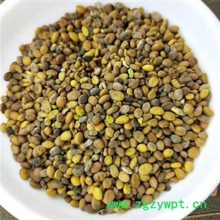 苦豆子 正品保证质量7天无理由退货退款 安品堂图3