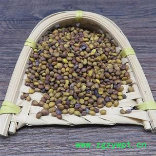 苦豆子 正品保证质量7天无理由退货退款 安品堂图2