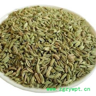 小茴香香料小茴香正品保证质量 中药材批发 丽丽药业图2