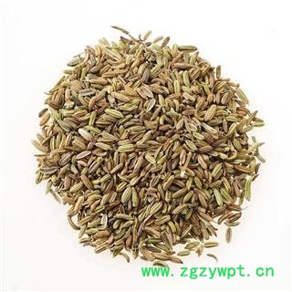 小茴香香料小茴香正品保证质量 中药材批发 丽丽药业图3