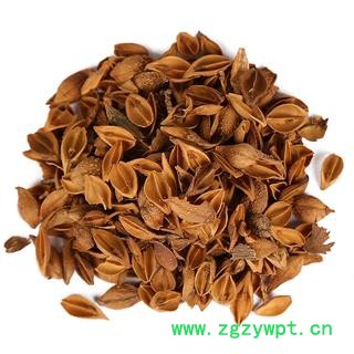 黄连翘 黄翘 统货正品保证质量7天无理由退货退款 中药材批发 丽丽药业图3