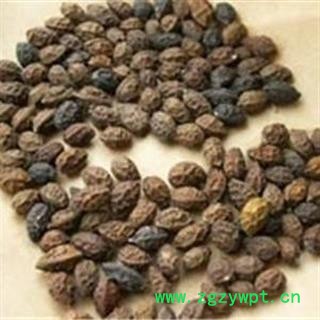 鸦胆子统货正品保证质量7天无理由退货退款 中药材批发 丽丽药业图3