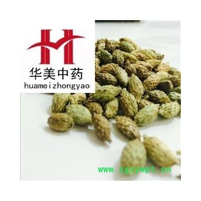 苍耳子 苍耳子前期绿色选货 产地 内蒙 华美中药 产地直销 重在品质