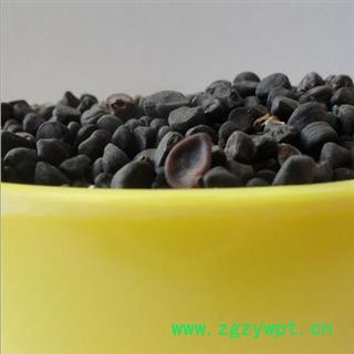 给丑 牵牛子黑丑统货 产地 四川 华美中药 产地直销 重在品质图2