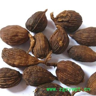 草果 草果统货 产地 广西 华美中药 产地直销 重在品质图2