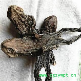 安祁名药中药材干蟾 干蟾皮图2