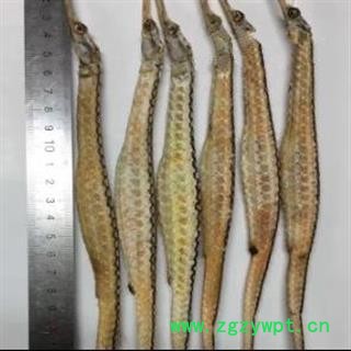 安祁名药正品海龙 刁海龙  大刁海龙 黄金海龙图2