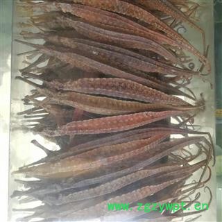 安祁名药清水海龙 六角海龙 产地 海外图2