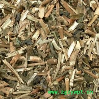 长春花 常春花 优质正品 产地 广西壮族自治区图2