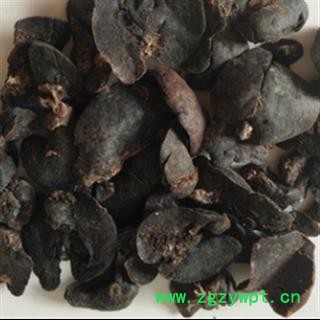 安祁名药优质中药材獭肝 水獭肝  水狗肝图2