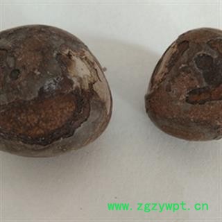 安祁名药马宝 马结石 正品马宝图2