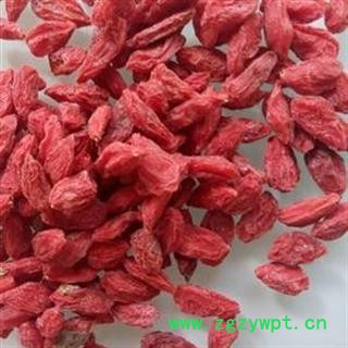 枸杞 枸杞子 选180粒 产地 宁夏  华美中药   产地直销 重在品质图2