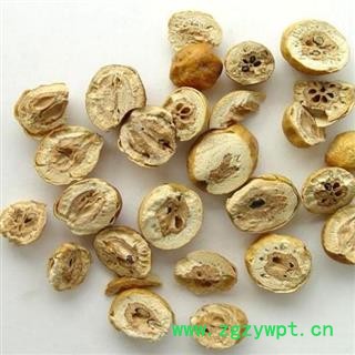 川楝子 统 产地 四川省  华美药材栈 产地直销 重在品质图2