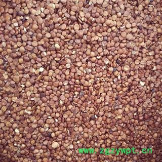 酸枣仁 枣仁 进口酸枣仁 统 产地 海外 华美中药 品质保证  华美药材栈 产地直销 重在品质图2