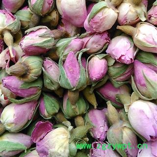 玫瑰花 法国进口香水玫瑰王 产地 海外图2