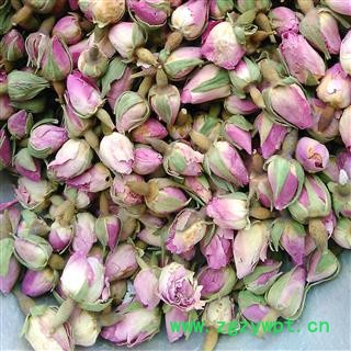 玫瑰花 法国进口香水玫瑰王 产地 海外图3