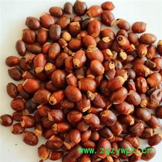 荔枝核 荔枝核选货 产地 广西 华美中药 产地直销 重在品质图2