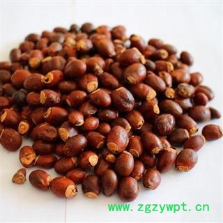 荔枝核 荔枝核选货 产地 广西 华美中药 产地直销 重在品质图3