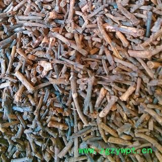 丁香 丁香杆 产地 广西壮族自治区图2