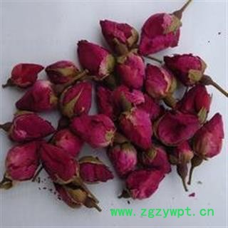 月季花 好统 产地 山东省图3