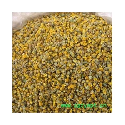 野菊花 野菊花统货 产地 湖南省湘潭市湘潭县 大货批发价