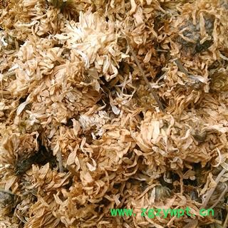 菊花 无硫选装亳菊花 产地 安徽省图2