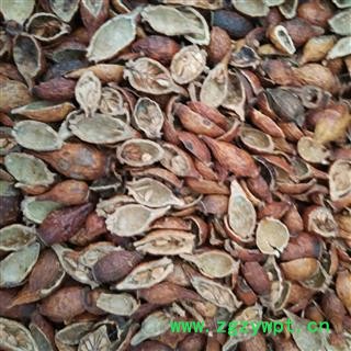 金樱子 金樱子肉  选去仔 产地 江西省图3