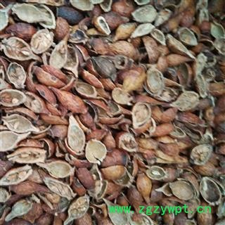 金樱子 金樱子肉  选去仔 产地 江西省图2