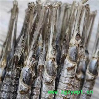 六角海龙 刁海龙 新货煲汤泡酒入药料图3