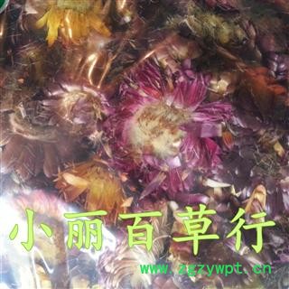 七彩菊 选货图2