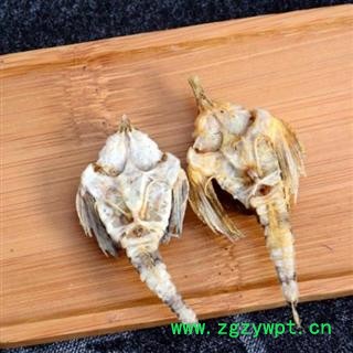 海燕 优质海燕干 10g图4