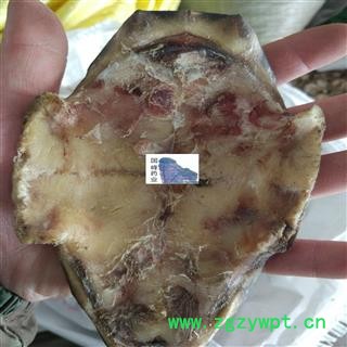 龟板 旱龟板 选 正品 纯干 国峰药业 重在品质 产地 湖北省图2