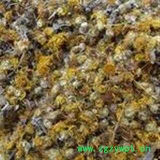 小丽百草行中药材 旋复花 别名：飞天蕊、滴滴金、金钱菊图2