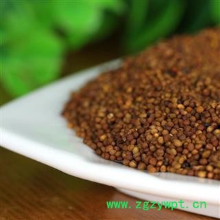 菟丝子 内蒙菟丝子  精选货 水洗无杂质 没有草子没有青湘子 真正好货 产地 内蒙古自治区图2