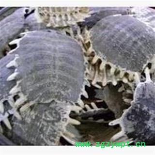 鳖甲 精品手选货 整个无碎块  没有杂质 去肉干净 好货 不掺骨头  产地 山东省图2