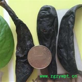 水蛭 国标精选 清水吊杆水蛭 包药检  低价促销  产地 黑龙江省图3