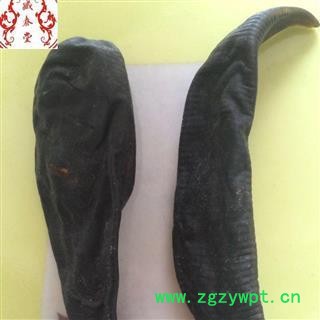 水蛭 国标精选 清水吊杆水蛭 包药检  低价促销  产地 黑龙江省图2