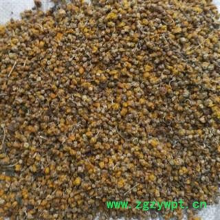 中药材野菊花 野菊花中药材颗粒统货 野黄花菊 产地湖北安国市场批发零售大全图2