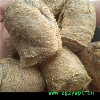 纯大棉桑螵蛸 选 产地 山东省烟台市芝罘图3