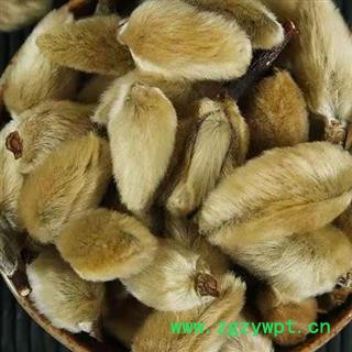 中药材辛夷花 辛夷 本品是人工采摘挑选的当季新货 优质原产 是自然晾晒 无添加无提取切无硫 色泽自然 干净无杂无任何后期加工尽在中药材诚实通 安国中药材批发零售大全图3