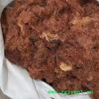 中药材玉米须 本品为手工精选 剪去黑头去除杂质 无发霉不熏硫 无虫卵 当季新货 安国中药材批发零售大全图3