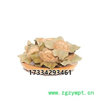 中药材柿楴 柿帝柿钱柿子把柿萼柿丁小柿蒂图4
