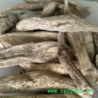 诺源中药材茉莉花  茉莉花根图2