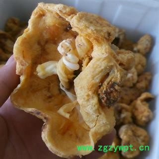 紫河车 半放血 清水全干 统货 产地 四川瑞芝堂直销 规格齐全 一站购齐图3