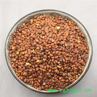 莱菔子 净500克 统货正品保证质量7天无理由退货退款 安品堂图4