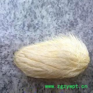 杧果核 芒果核 正品保证正质量无理由退货退款图3