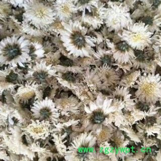 安祁名药菊花 太阳花 太阳菊图2