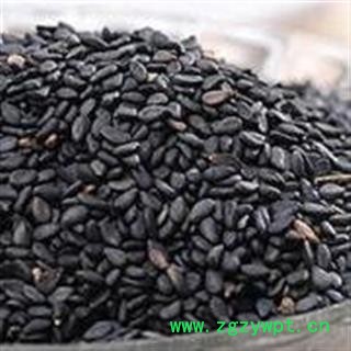 菥蓂子 菥蓂籽 正品保证质量7天无理由退货退款 中药材批发 安品堂图2