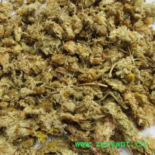 安祁名药优质无硫祁菊花图2