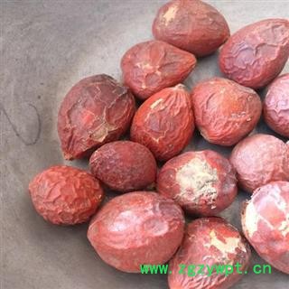 铁树果 正品保证质量7天无理由退货退款 华安堂图2